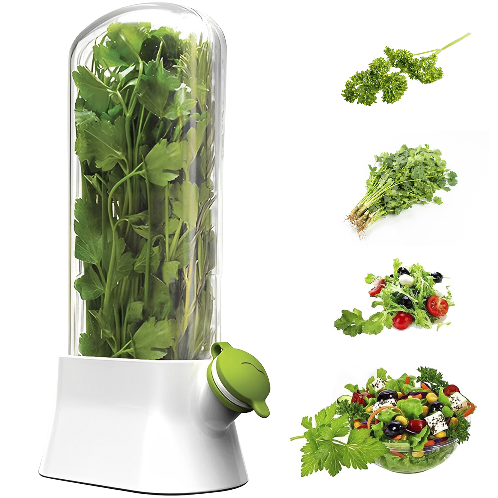 4/1PC Herb Freshkeeping Box Fr - Herb Keeper Bottle ulasan dan harga
