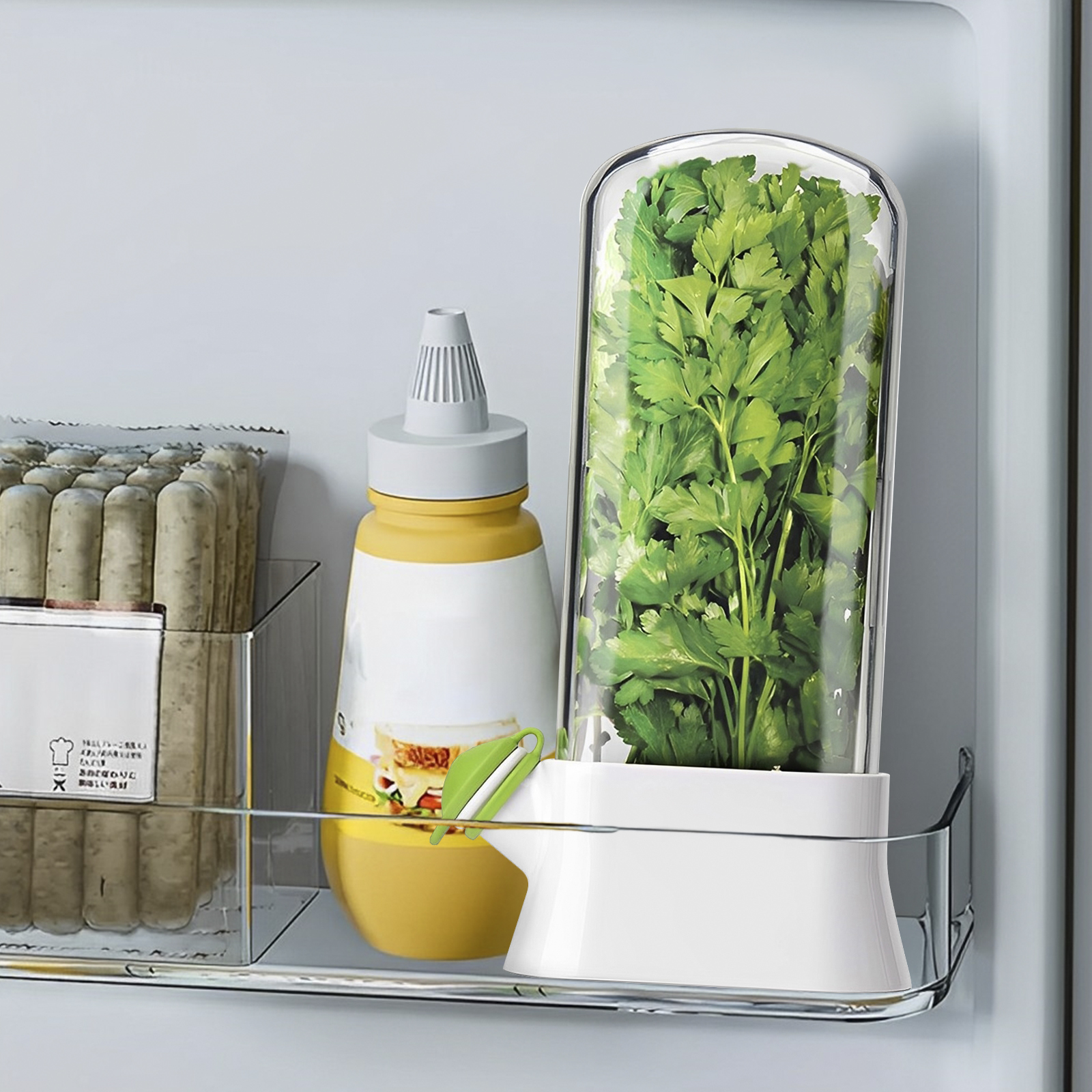 4/1PC Herb Freshkeeping Box Fr - Herb Keeper Bottle ulasan dan harga
