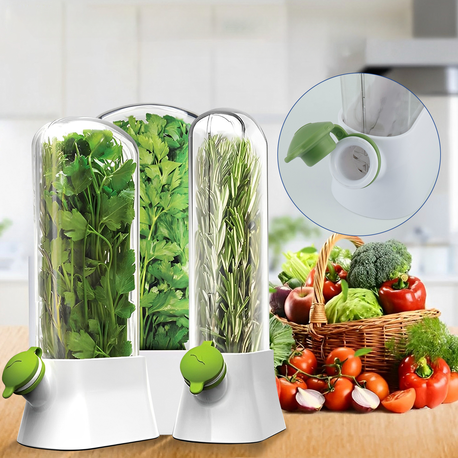 4/1PC Herb Freshkeeping Box Fr - Herb Keeper Bottle ulasan dan harga