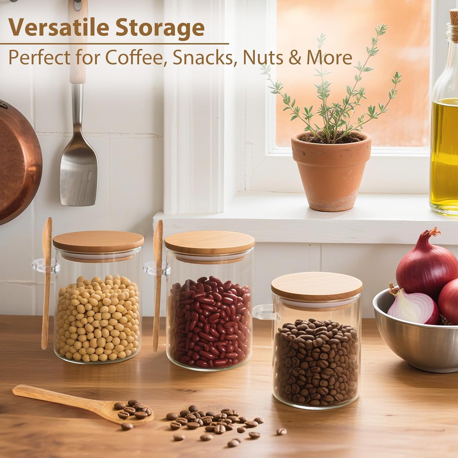 6 Pack Overnight Oats Containe - Meal Prep Jars With Lids ulasan dan harga