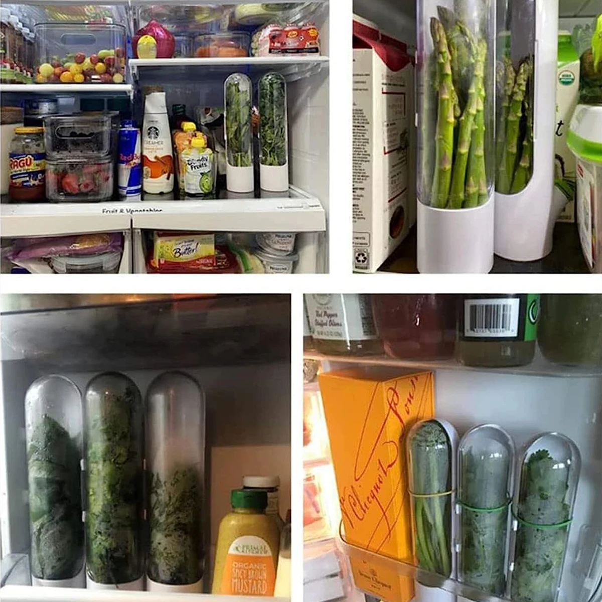 1/2/3PCS Herb Saver Storage Co - Herb Keeper Bottle ulasan dan harga
